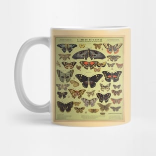 Foreign Entomologist Science Poster Mug